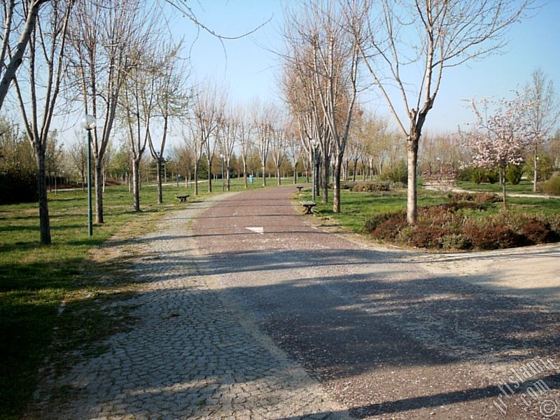View of Botanical Park in Bursa city of Turkey.

