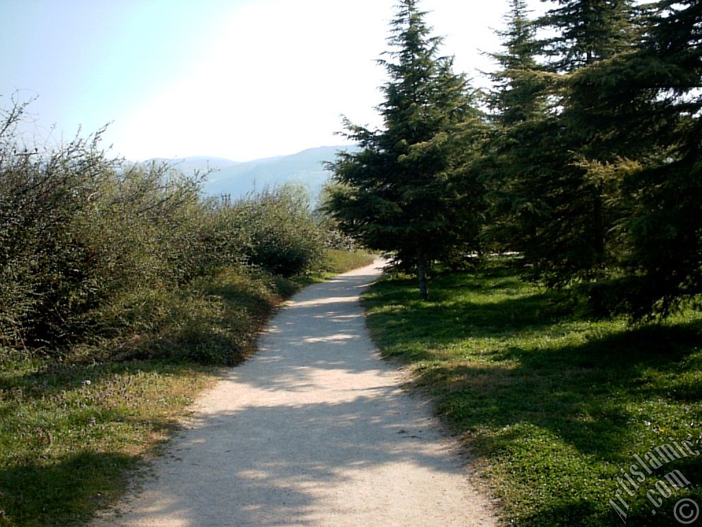 View of Botanical Park in Bursa city of Turkey.

