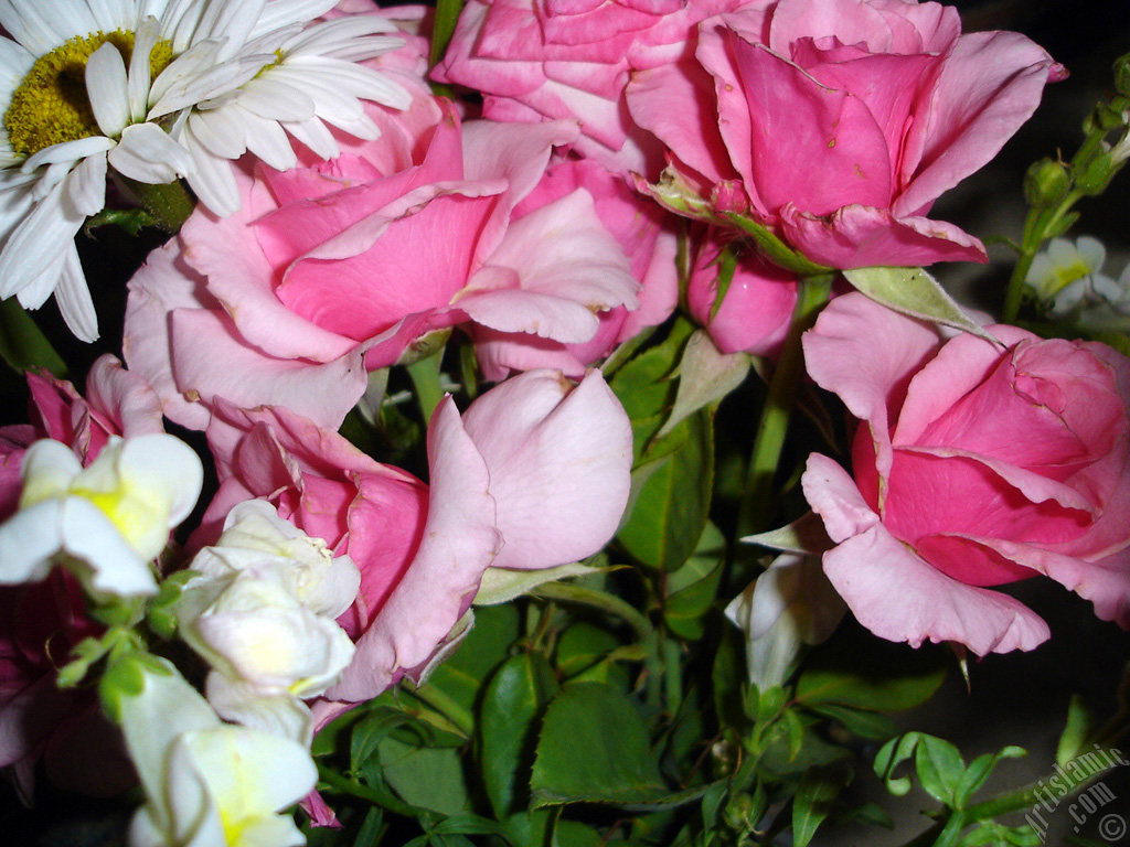 A bouquet consisting of rose, daisy and snapdragon flowers.
